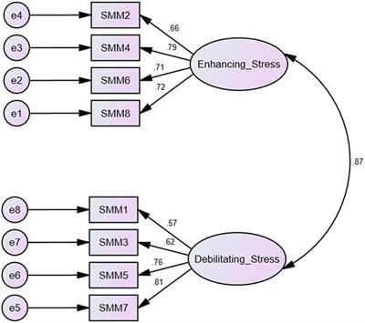 Psychometric properties and factorial invariance of the Farsi version of the Stress Mindset Measure